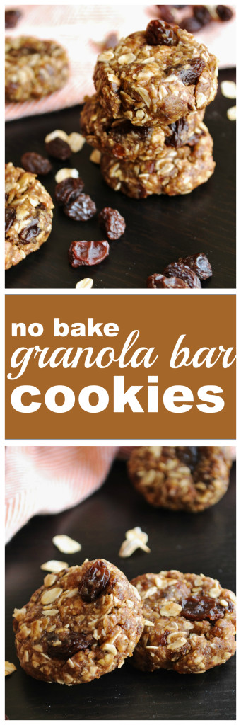 No Bake Granola Bar Cookies