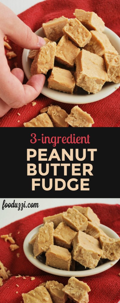 3-Ingredient Peanut Butter Fudge: the richest gluten free and vegan fudge with a healthy twist! || fooduzzi.com recipes