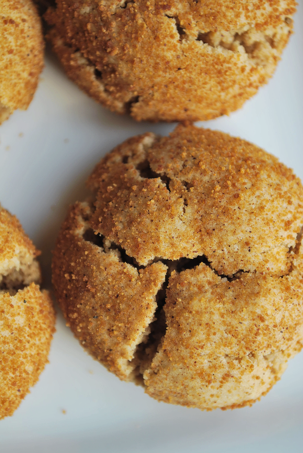 Healthy Gluten Free Vegan Snickerdoodles: make this classic Christmas cookie recipe a new tradition in your house! They're gluten free, vegan, dairy free, and refined sugar-free! || fooduzzi.com recipes