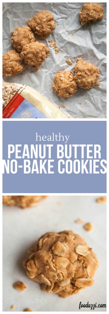 Healthy Peanut Butter No-Bake Cookies: A gluten free, vegan, and refined sugar-free cookie that'll please any crowd! || fooduzzi.com recipes