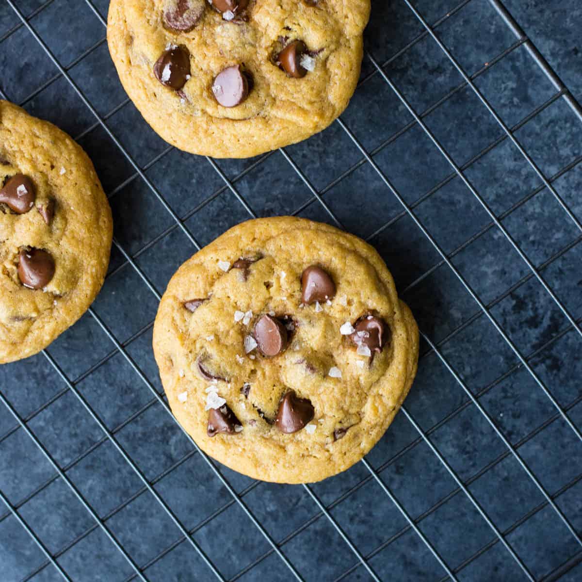 One Bowl Small Batch Chocolate Chip Cookies